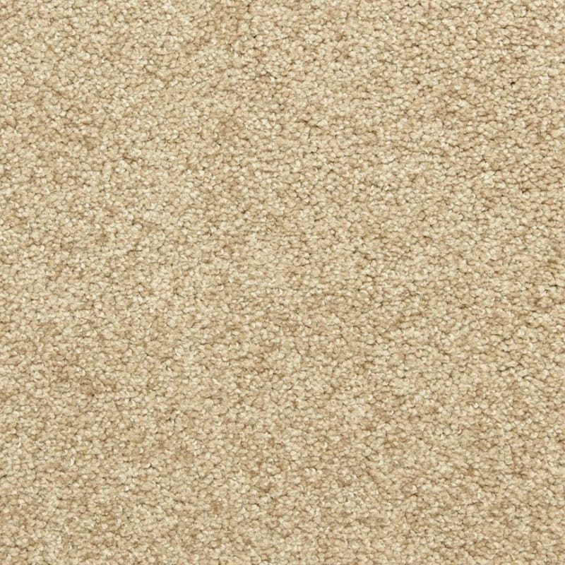 Katie's Comfort carpet by Dixie Home