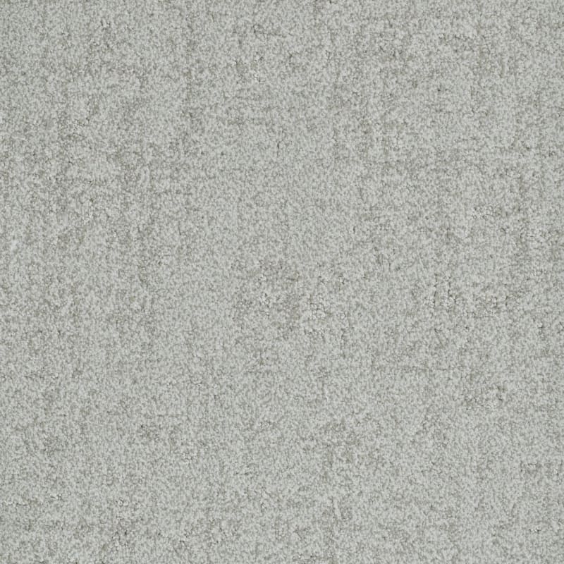 Authentic carpet by Dixie Home