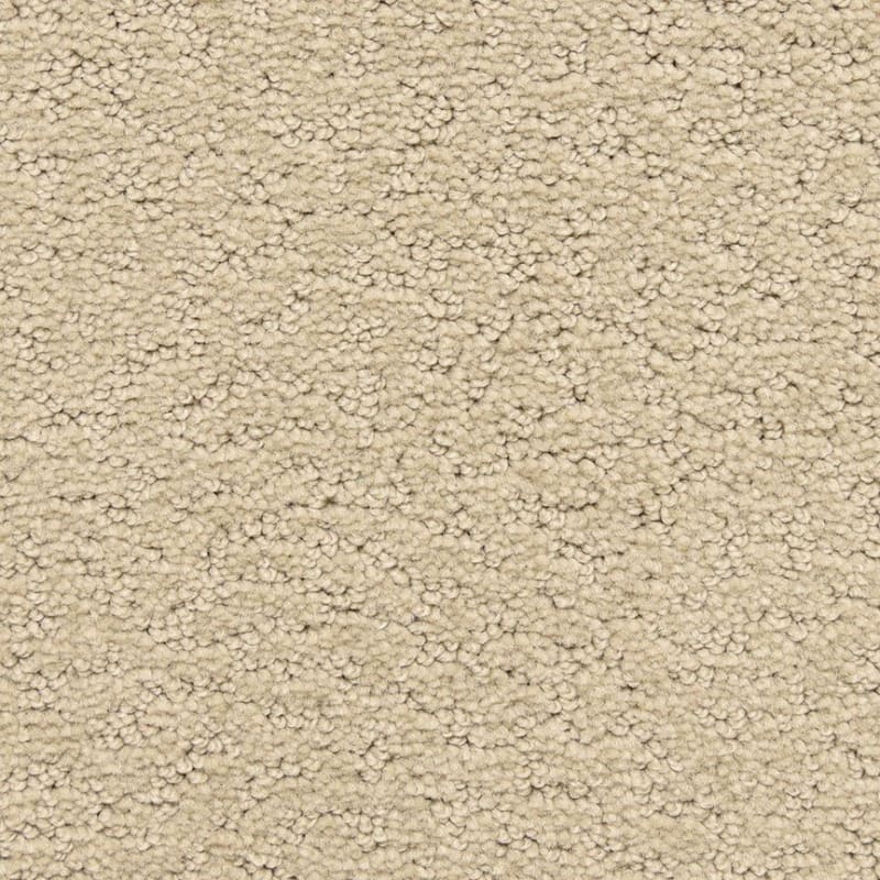Prize Winner carpet by Dixie Home