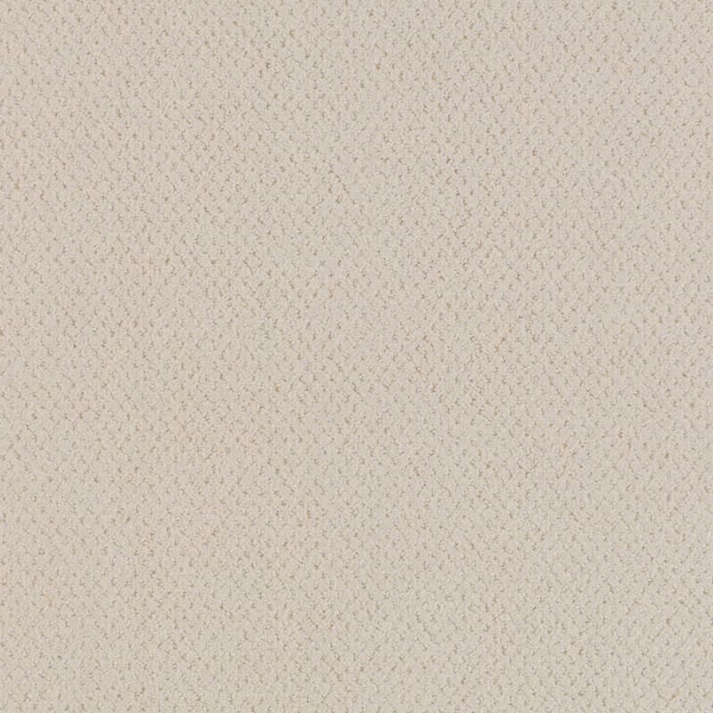 Dx300 carpet by Dixie Home