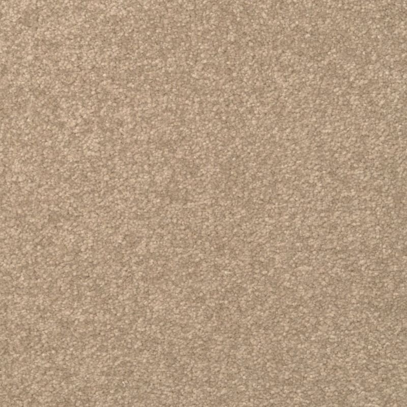 Inspiring carpet by Dixie Home