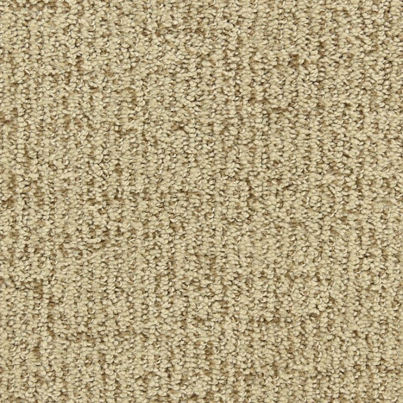 Victor carpet by Dixie Home