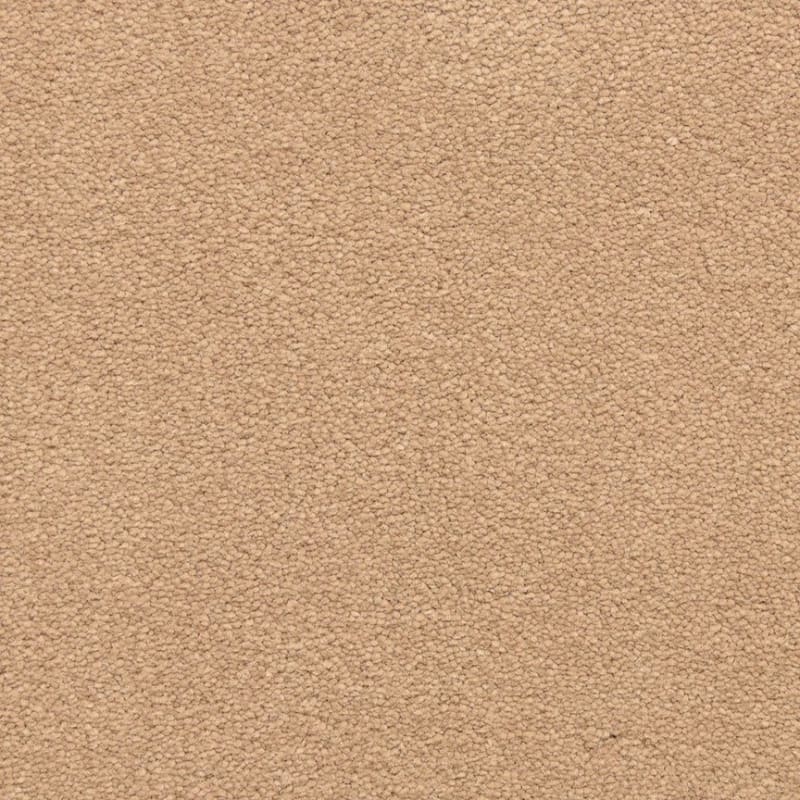 Grand Isle carpet by Dixie Home