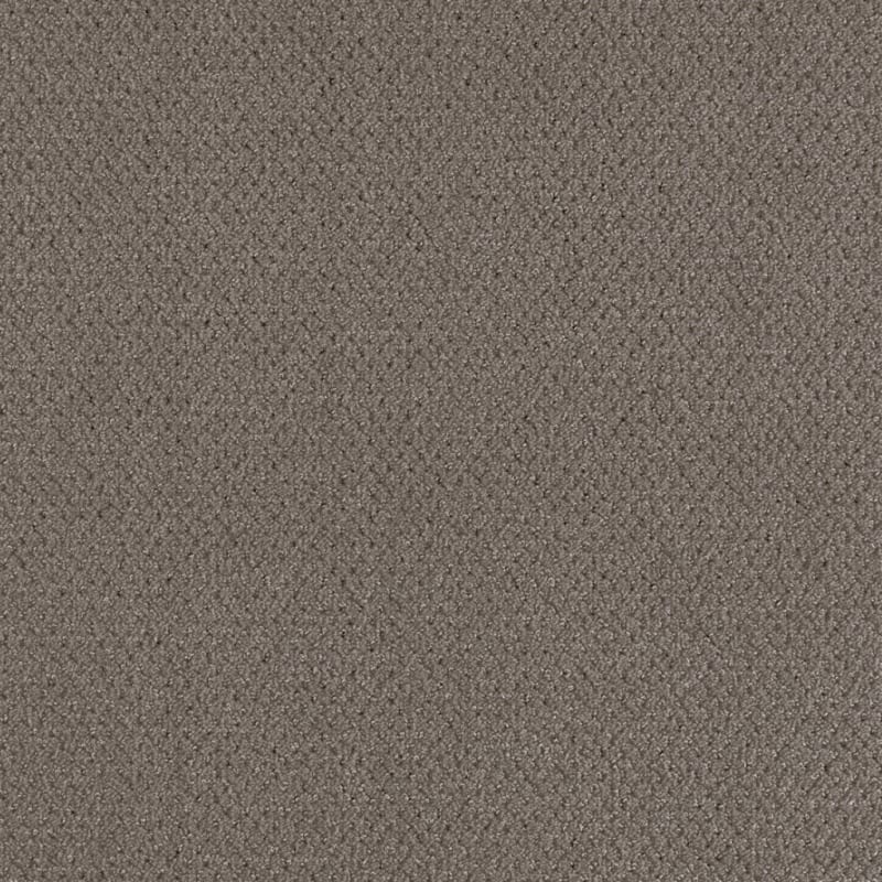 Dx300 carpet by Dixie Home
