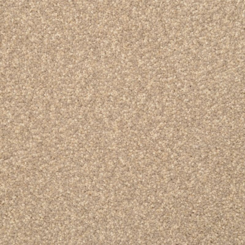 Cozy carpet by Dixie Home