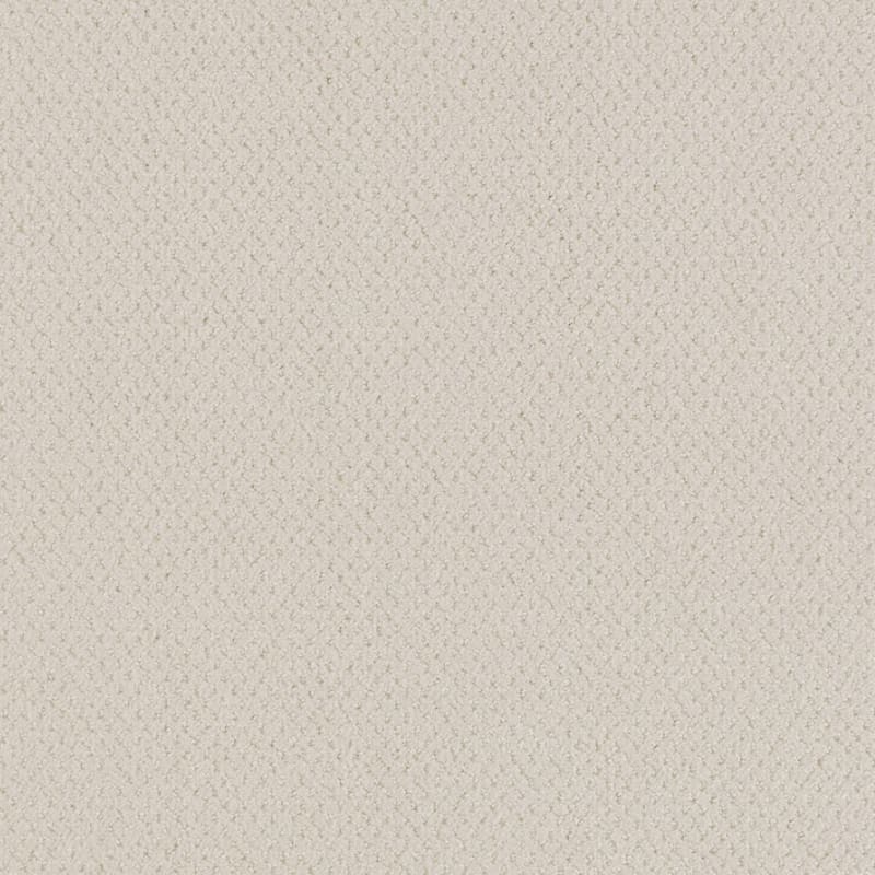 Dx300 carpet by Dixie Home