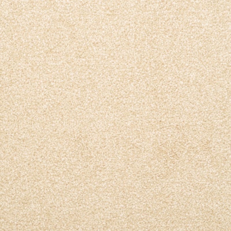 Delight carpet by Dixie Home