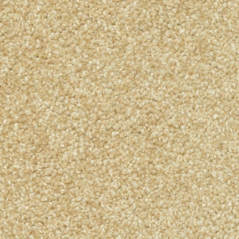 Magic Moment carpet by Dixie Home