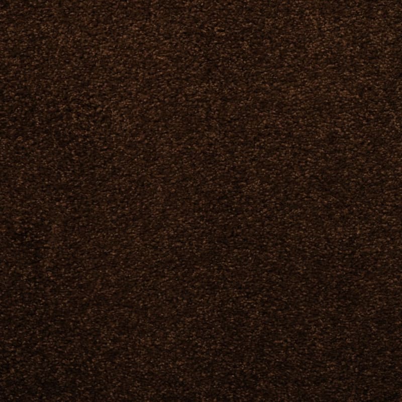 Soft & Silky carpet by Dixie Home