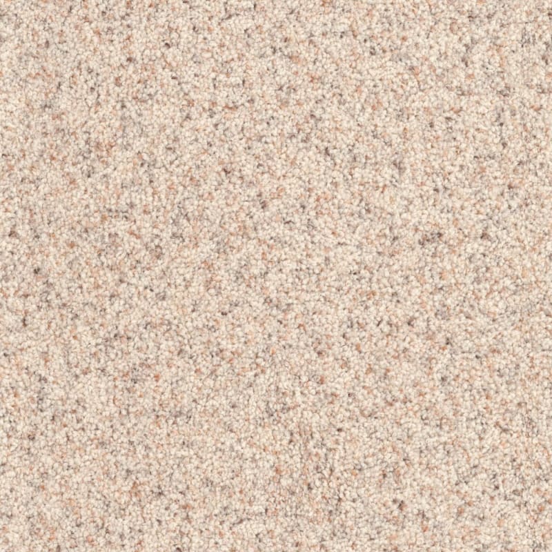 Husky carpet by Dixie Home