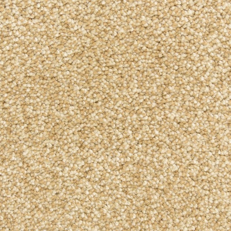 Gusto carpet by Dixie Home