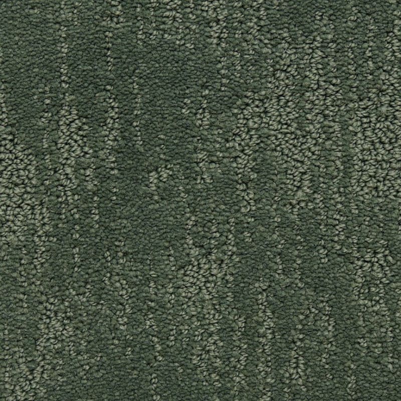 Attributes carpet by Dixie Home