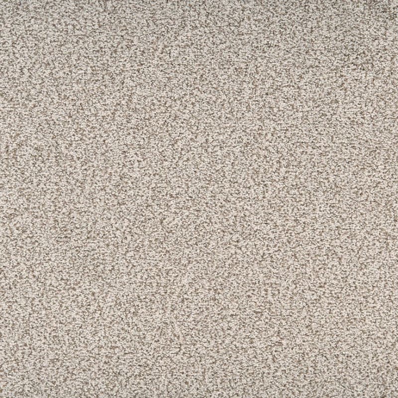 Legit carpet by Dixie Home