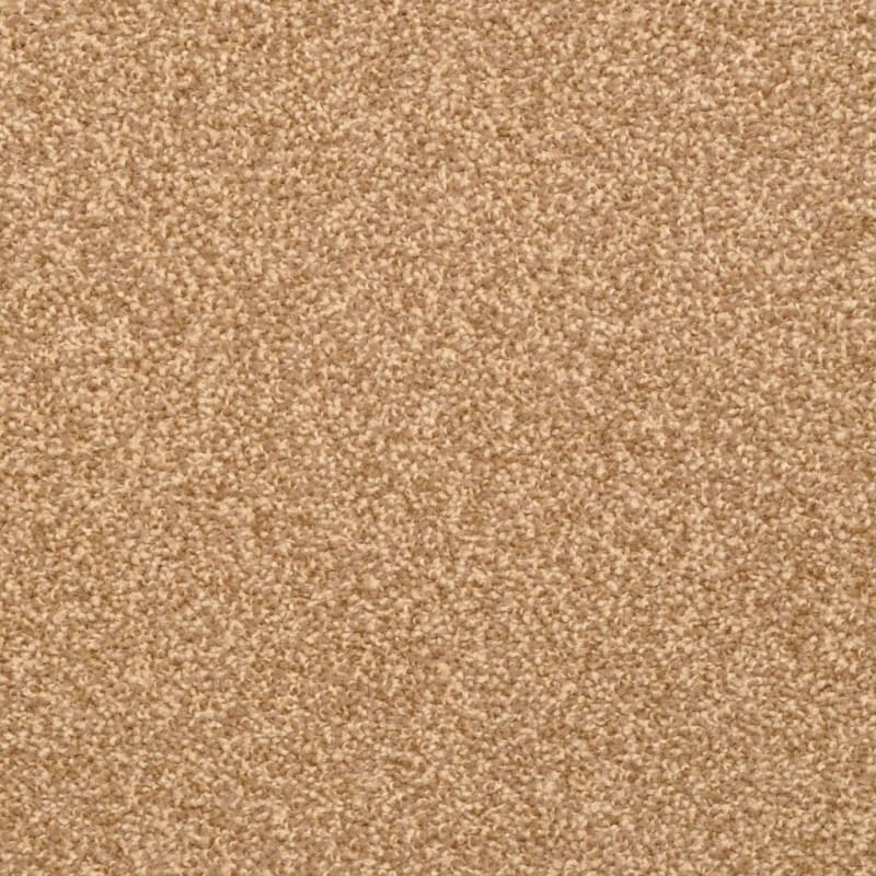 Delight carpet by Dixie Home