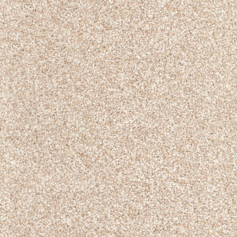 Husky carpet by Dixie Home