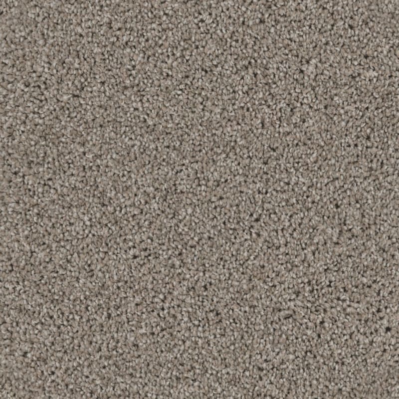 Dx840 carpet by Dixie Home