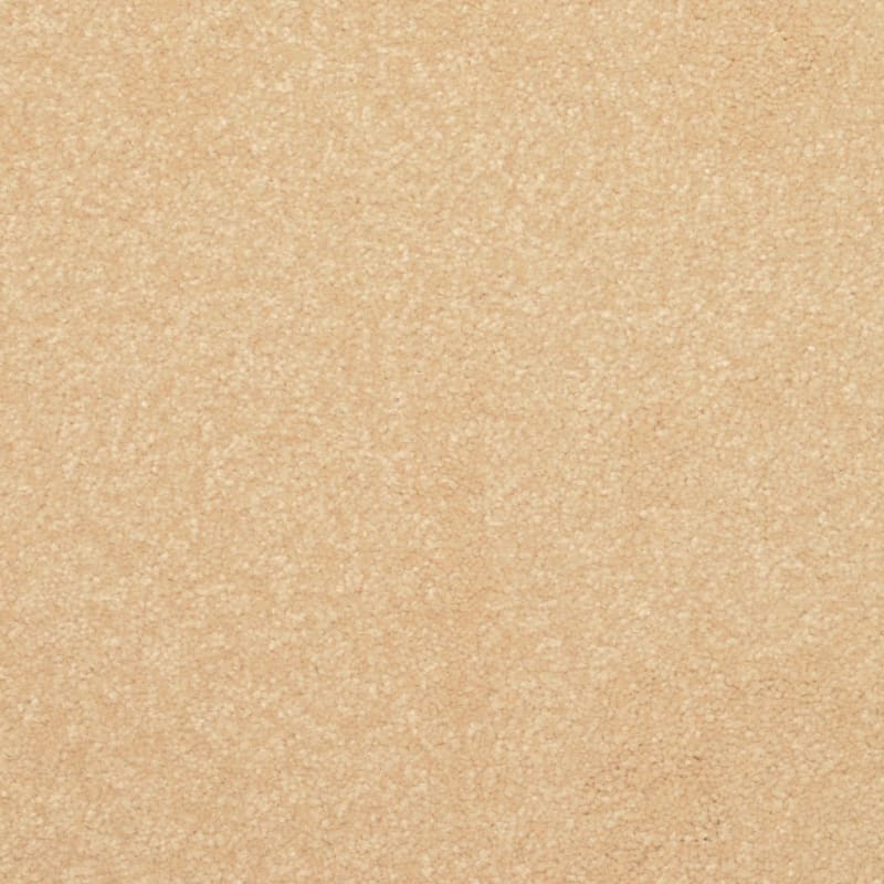 Inspiring carpet by Dixie Home