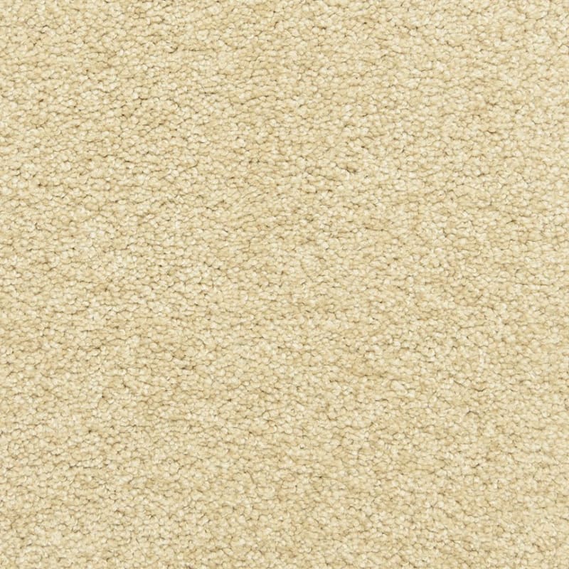 Katie's Comfort carpet by Dixie Home
