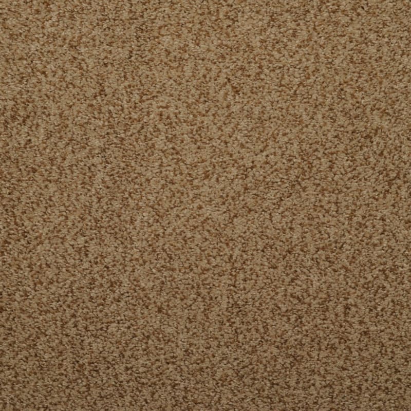 Soft & Silky carpet by Dixie Home