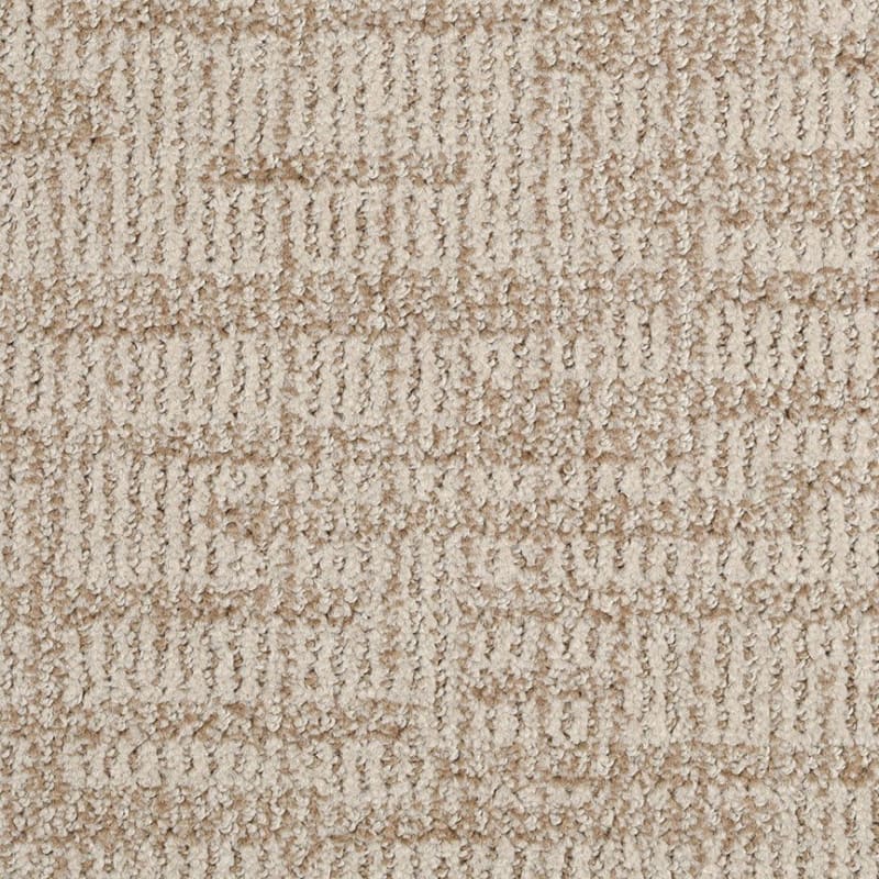 Template carpet by Dixie Home