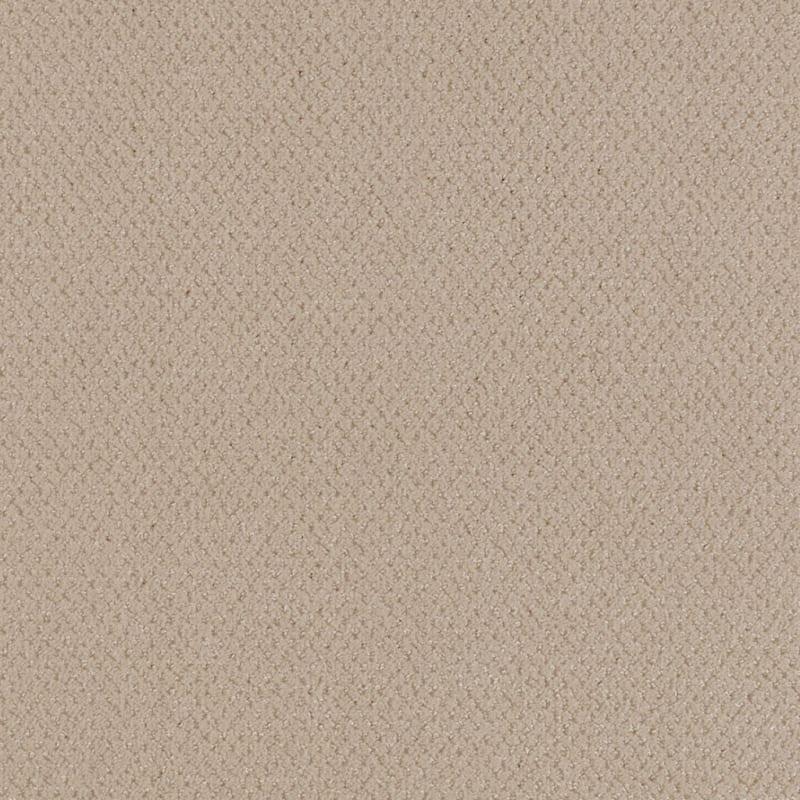 Dx300 carpet by Dixie Home