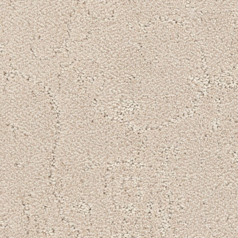 Shelter carpet by Dixie Home