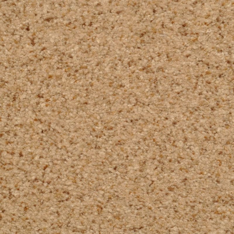 Innovations carpet by Dixie Home