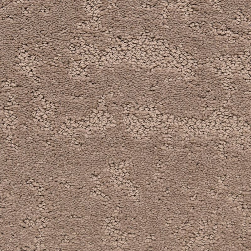 Classic Demeanor carpet by Dixie Home