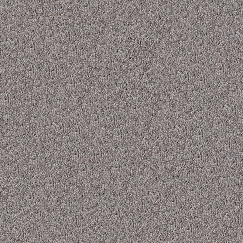 Dx150 carpet by Dixie Home