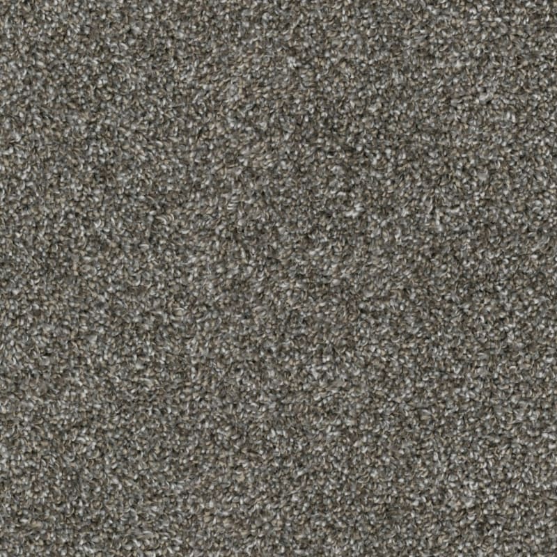 Big Idea carpet by Dixie Home
