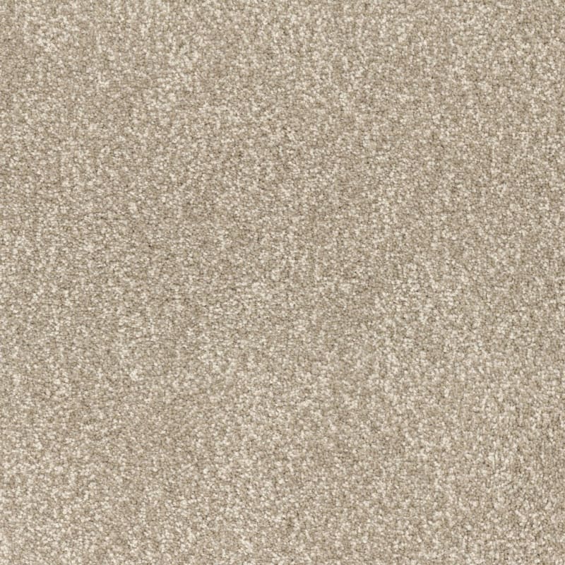 Spring Fling carpet by Dixie Home