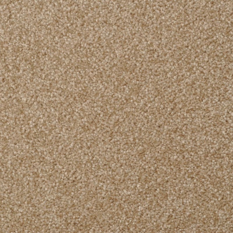 Heart's Content carpet by Dixie Home