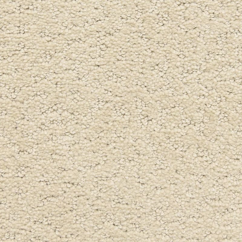 Prize Winner carpet by Dixie Home