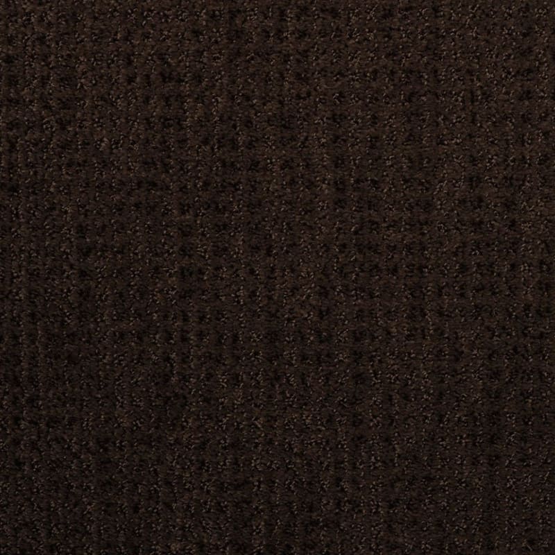 Sterling carpet by Dixie Home