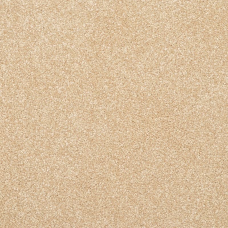 True Comfort carpet by Dixie Home