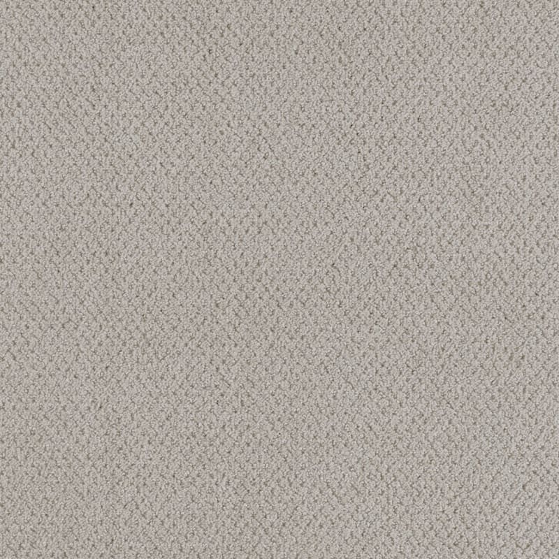 Dx300 carpet by Dixie Home