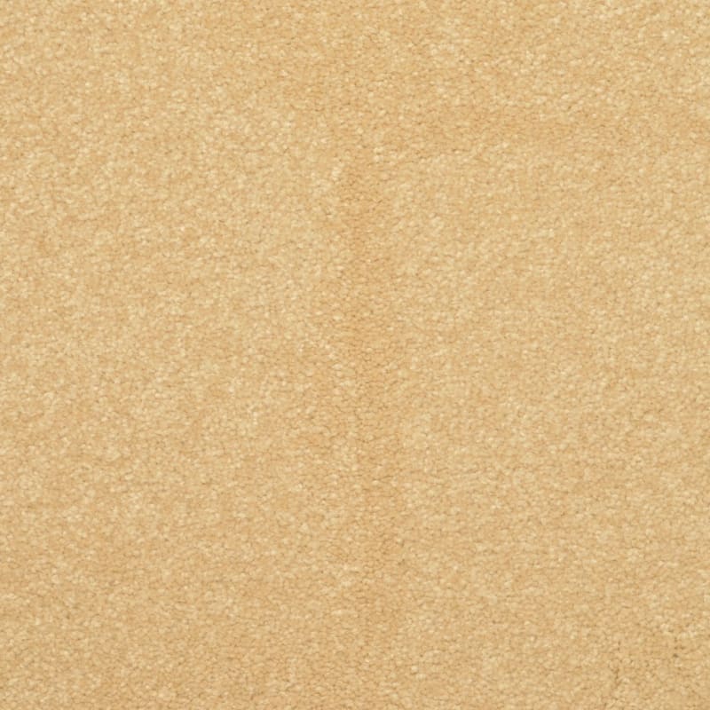 Inspiring carpet by Dixie Home