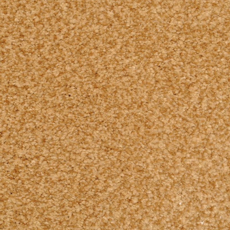 Chromatic Touch carpet by Dixie Home