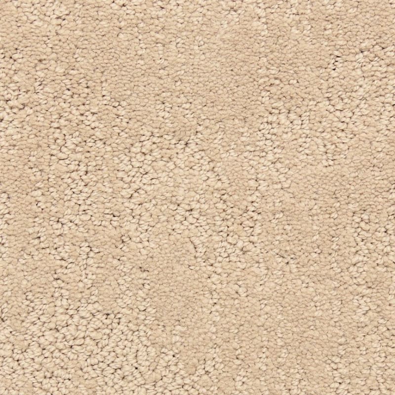 Attributes carpet by Dixie Home