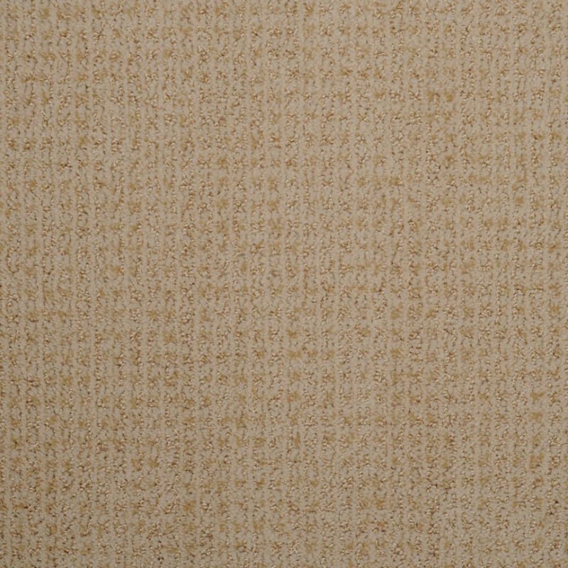 Sterling carpet by Dixie Home