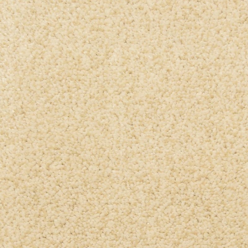 Gusto carpet by Dixie Home