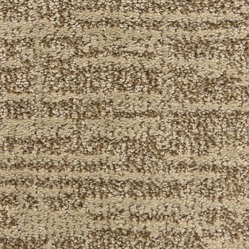Expressions carpet by Dixie Home
