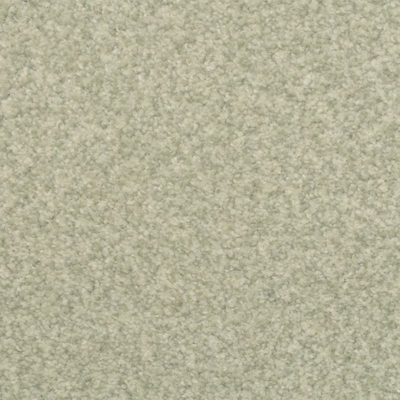 Chromatic Touch carpet by Dixie Home