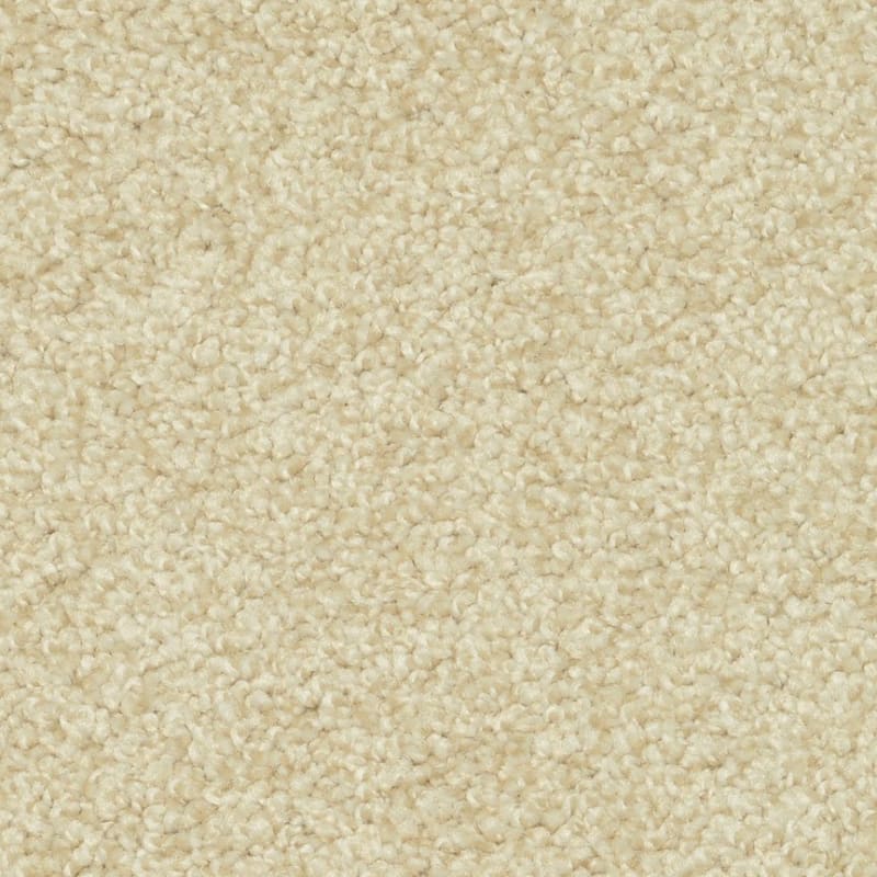 Magic Moment carpet by Dixie Home