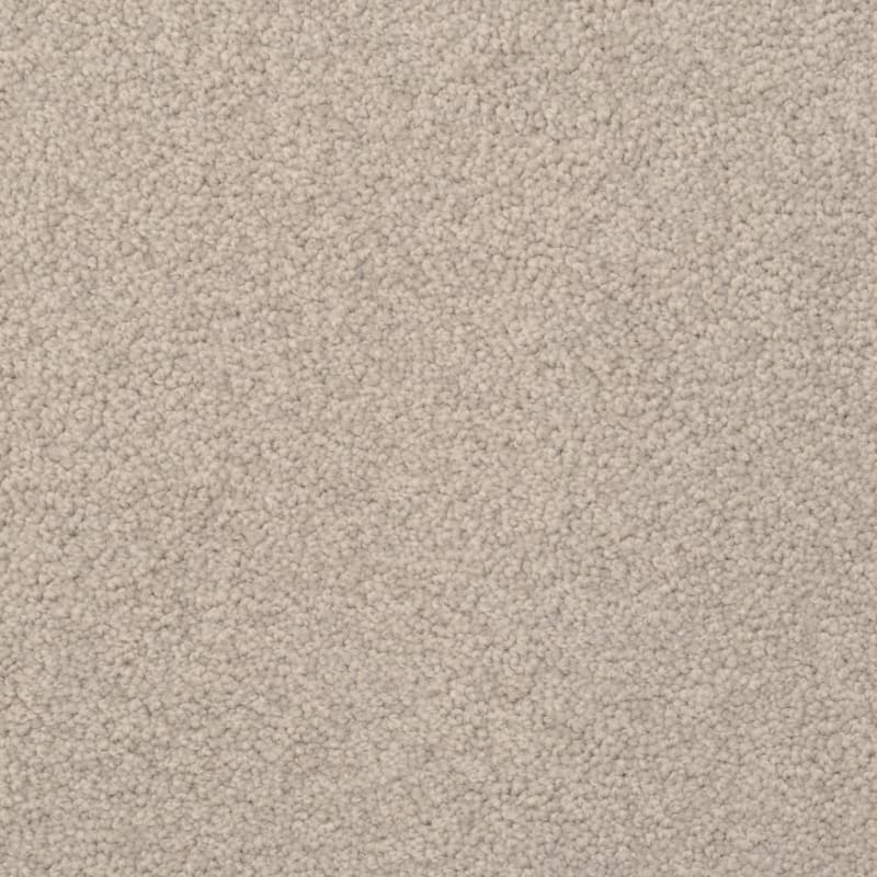 Cozy carpet by Dixie Home