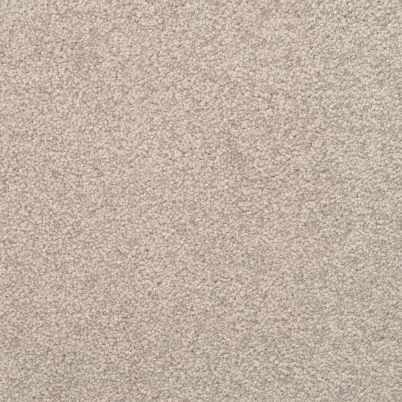 Delight carpet by Dixie Home