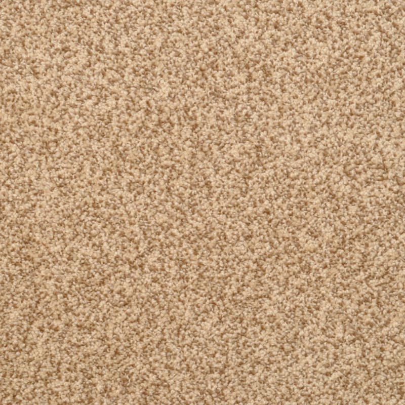 True Comfort carpet by Dixie Home