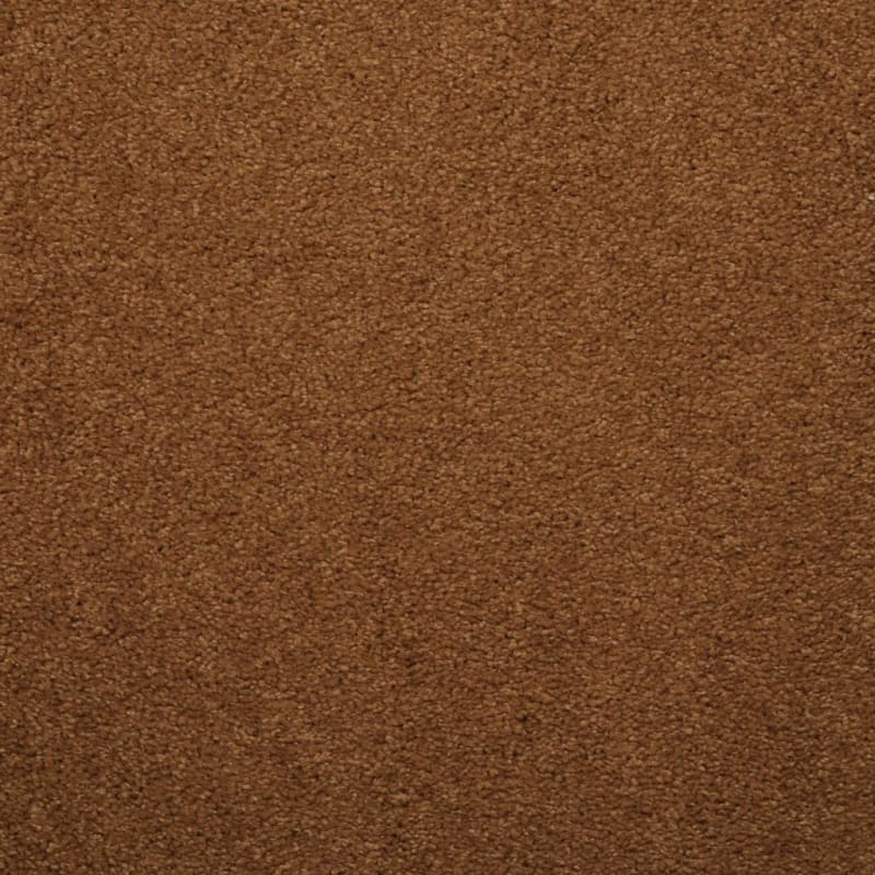 Soft & Silky carpet by Dixie Home
