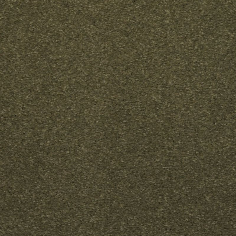 Spellbinding carpet by Dixie Home