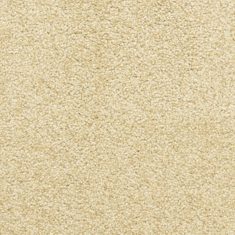 Katie's Comfort carpet by Dixie Home